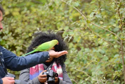 DSC_0506 (Large).JPG